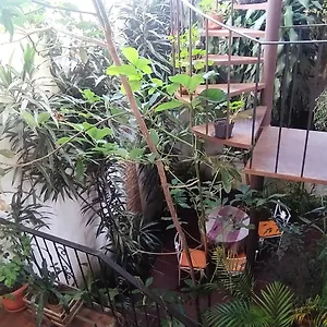 Jungle Chill Habitación en casa particular