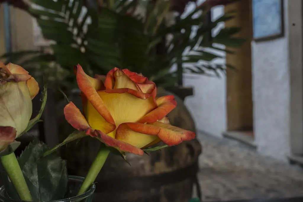 Hotel Posada El Antano Antigua